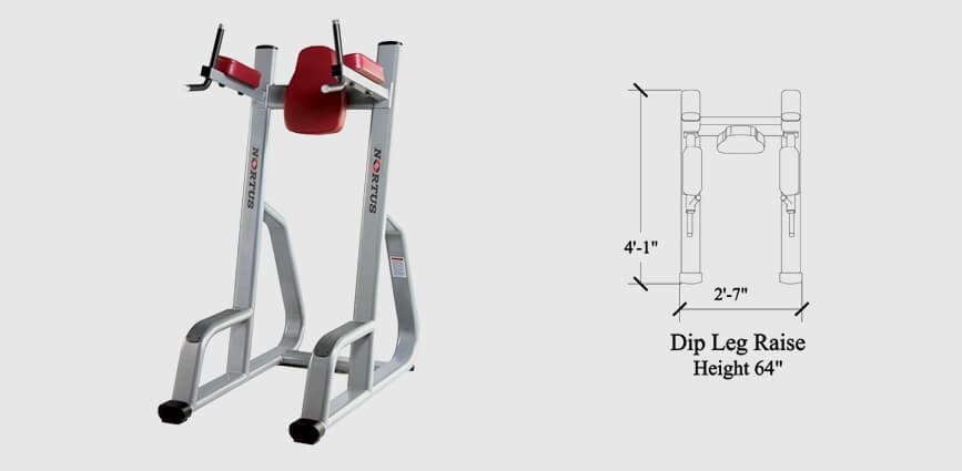 Commercial Dip Leg Raise Machine Manufacturer Nortus Fitness